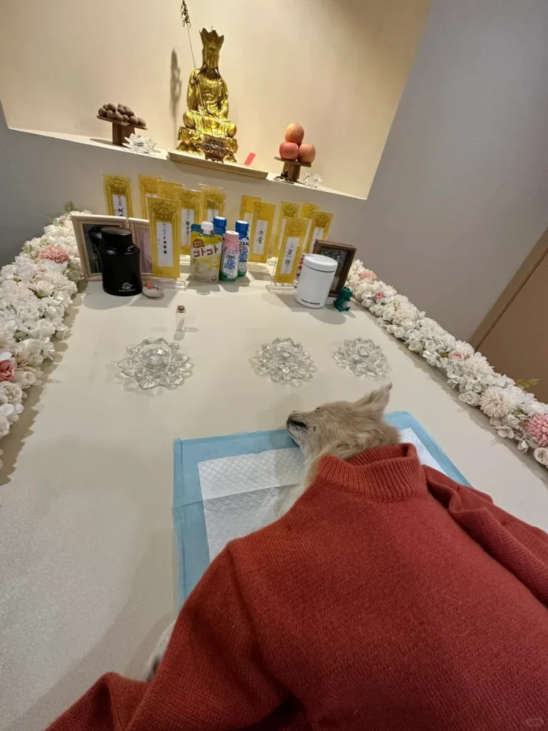 Pet Memorial Crystals